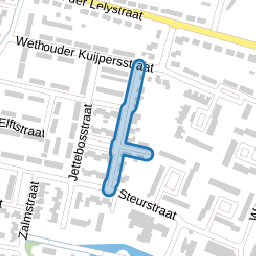 Wethouder Viveenstraat