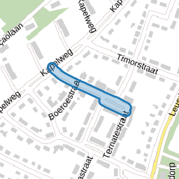 Billitonstraat