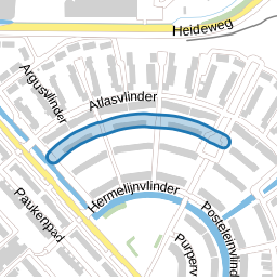 Donsvlinder