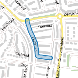 Duifkruid