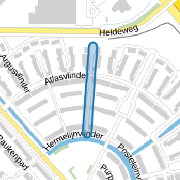 Kameelvlinder