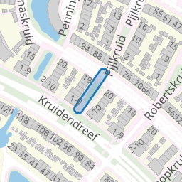 Leverkruid