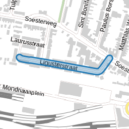 Ligusterstraat