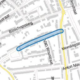 Paulus Potterstraat