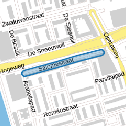 Saloméstraat