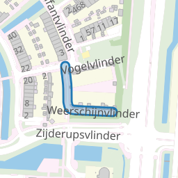 Weerschijnvlinder