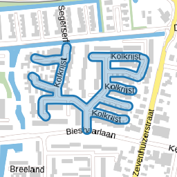 Kolkrijst