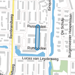 De Catoenboom