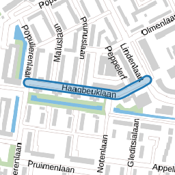 Haagbeuklaan