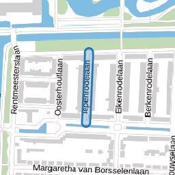 Iepenrodelaan