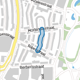 Duindoornstraat