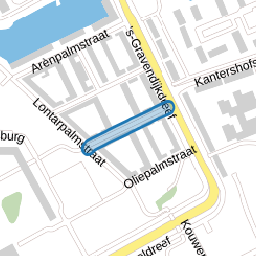 Dwergpalmstraat