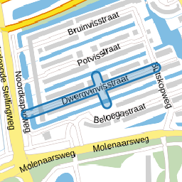 Dwergvinvisstraat