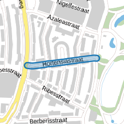 Hortensiastraat