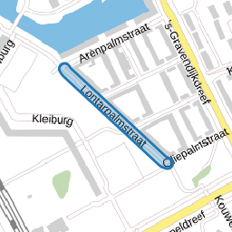 Lontarpalmstraat
