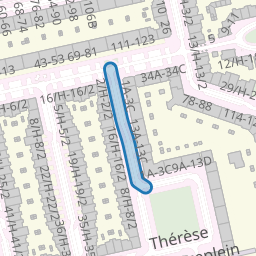 Thérèse Schwartzestraat