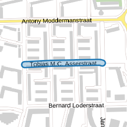 Tobias M.C. Asserstraat