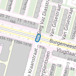 Willem Kraanstraat