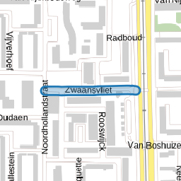Zwaansvliet