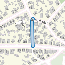 Borneolaan