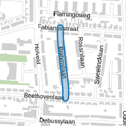 Brahmslaan