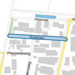 Hoornaar