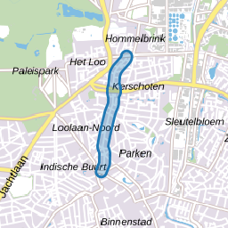 Koninginnelaan