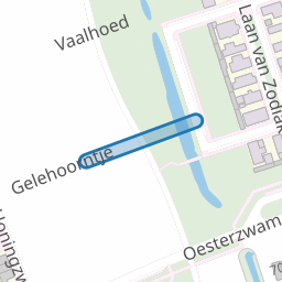 Ringboleet