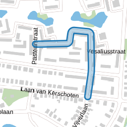 Robert Kochstraat