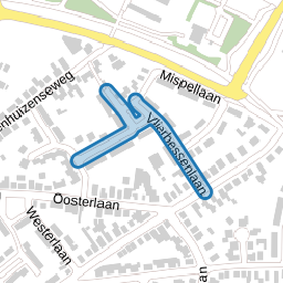 Vlierbessenlaan