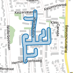 Koningspage