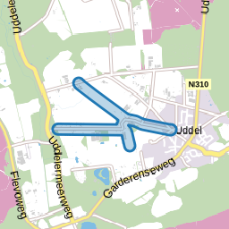 Uddelerveen