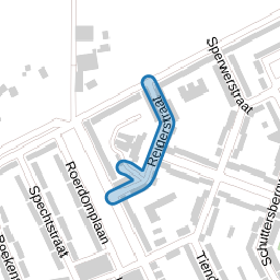 Reigerstraat