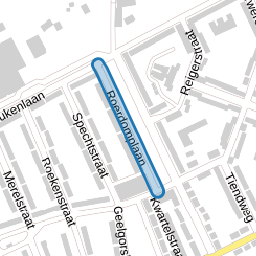 Roerdomplaan