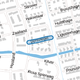 Dorsvlegel