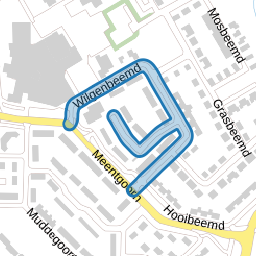 Wilgenbeemd