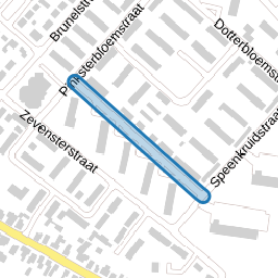 Zilverschoonstraat