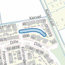 Kervel
