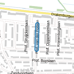 Prof. van der Potlaan