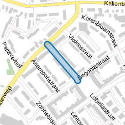 Anjelierstraat