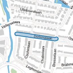 Dorkinglaan