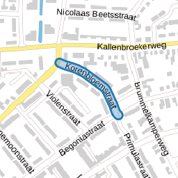 Korenbloemstraat