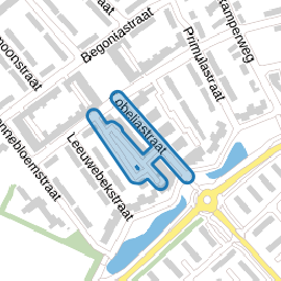Lobeliastraat