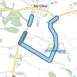 Ringlaan