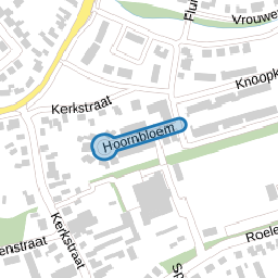 Hoornbloem