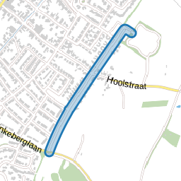 Bosserveldlaan