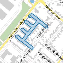 Cartylshofstraat
