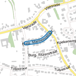 Burg. Mannensstraat