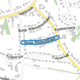 Burg. Ritzenstraat