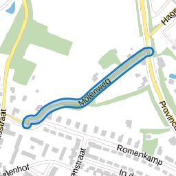 Molenweg